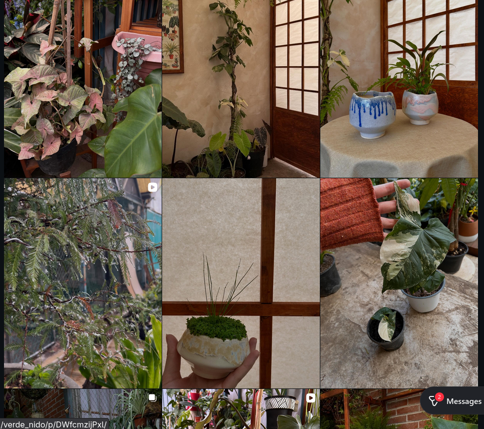 Planters and Botanical Forms